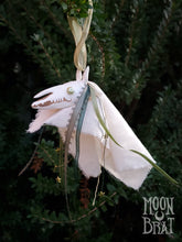 Load image into Gallery viewer, Mari Lwyd Ornament - Evergreen
