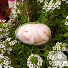 Load image into Gallery viewer, Hand Painted Easter Egg + Lamb