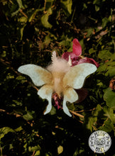Load image into Gallery viewer, Luna Moth Art Doll