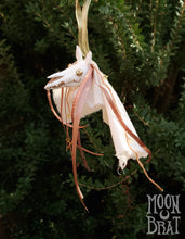 Load image into Gallery viewer, Mari Lwyd Ornament - Candlelight Orange