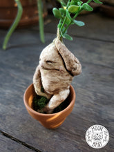 Load image into Gallery viewer, Mandrake Art Doll