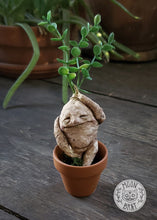 Load image into Gallery viewer, Mandrake Art Doll