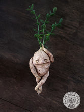 Load image into Gallery viewer, Mandrake Art Doll