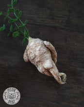 Load image into Gallery viewer, Mandrake Art Doll