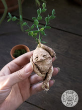 Load image into Gallery viewer, Mandrake Art Doll
