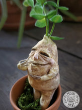 Load image into Gallery viewer, Mandrake Art Doll