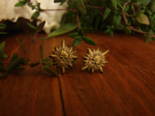 Load image into Gallery viewer, Catacomb Saint Earrings - Antique Gold