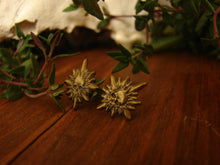 Load image into Gallery viewer, Catacomb Saint Earrings - Antique Gold