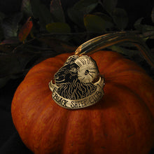 Load image into Gallery viewer, PREORDER Black Sheep Enamel Pin