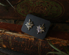Load image into Gallery viewer, Catacomb Saint Earrings - Silver