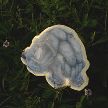 Load image into Gallery viewer, Miriel Turtle Pope Sticker - Metallic Gold