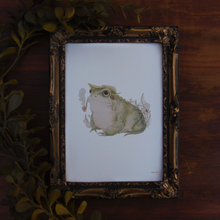 Load image into Gallery viewer, Archibald Toad Print 5 x 7