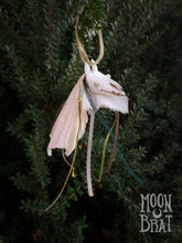 Load image into Gallery viewer, Mari Lwyd Ornament - Evergreen
