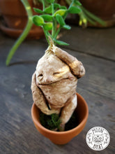 Load image into Gallery viewer, Mandrake Art Doll
