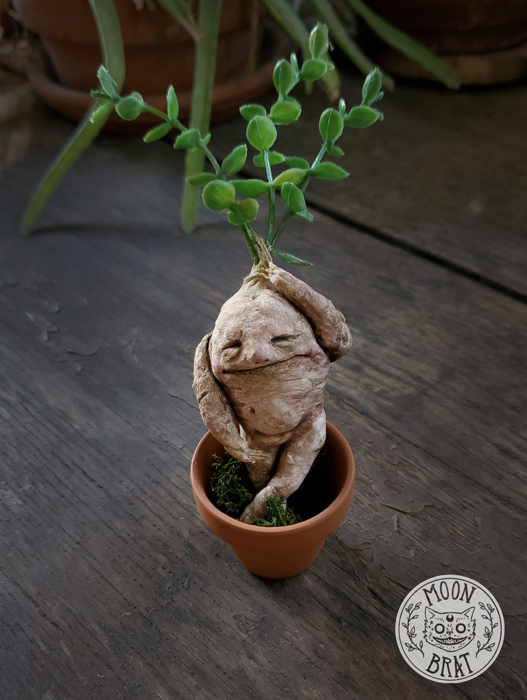 Mandrake Art Doll