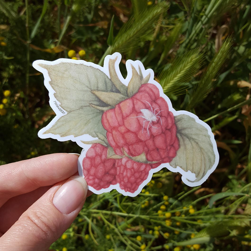 Raspberry Spider Vinyl Sticker – Moon Brat